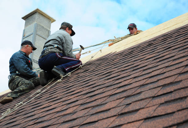 Professional Roofing Contractor in Hometown, IL